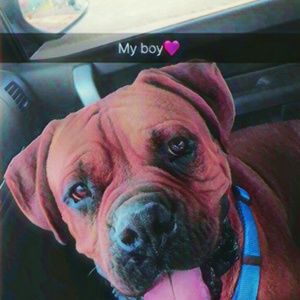 Meet your Posher, Brian